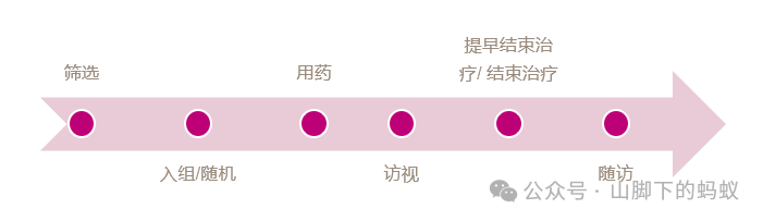 山腳下的螞蟻：統計分析流程