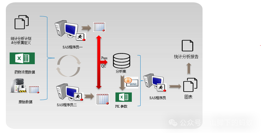 山腳下的螞蟻：統計分析流程