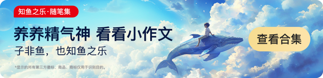 图片[67]｜猫太子丨百万级咨询费的原创案例，知鱼品牌如何帮助企业走回正确的路、实现营收翻盘？｜全营销数字服务平台丨榕媒圈
