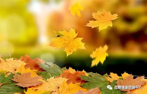 防秋燥，糖友们需选对食材