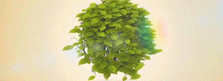 有前景的创业项目_微创业项目有哪些_有前景的创业产品项目