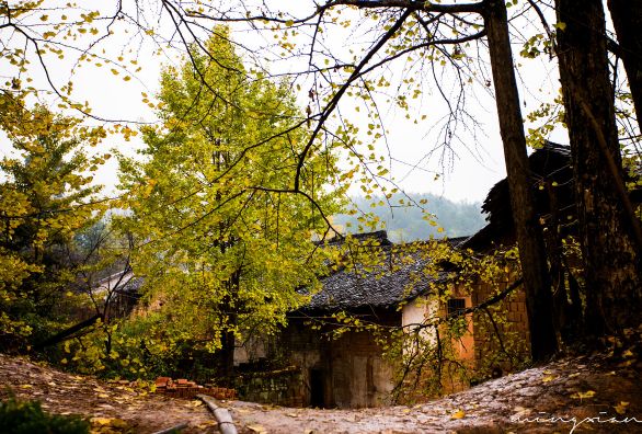 攝影師秋天必去的10個古村落，每一個都藏著你想不到的美 旅行 第63張