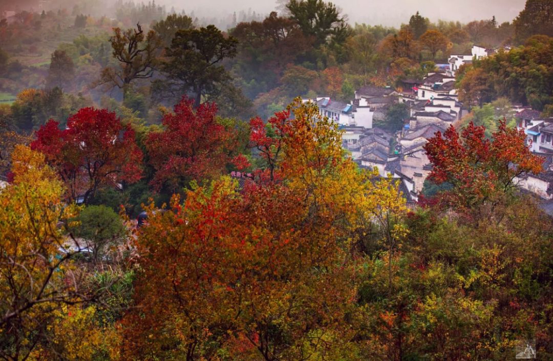 攝影師秋天必去的10個古村落，每一個都藏著你想不到的美 旅行 第27張