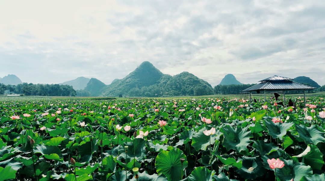 8月必去的十大旅行地！ 旅遊 第9張