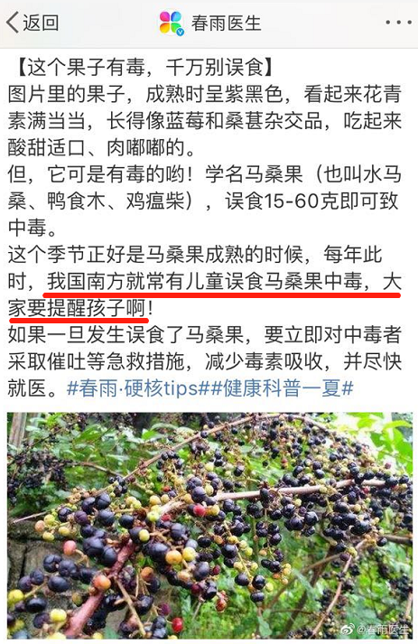 紧急提醒！4个男孩路边呕吐，神志不清反复抽搐，一人陷入昏迷，全因为捡了这种“野果”吃（组图） - 8