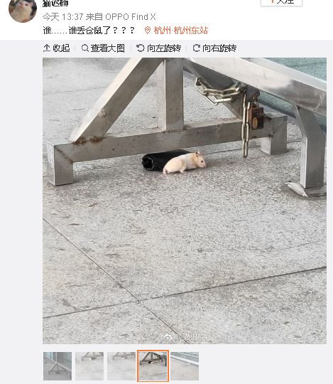 西湖到杭州火车东站_杭州东站到西湖_西湖至杭州东站坐什么车