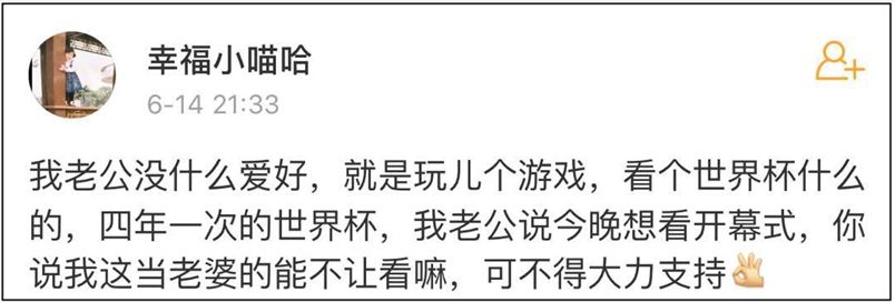 世界杯揭幕战亮点集锦：普京摊手火了！看台闪现2位大明星！（组图） - 17
