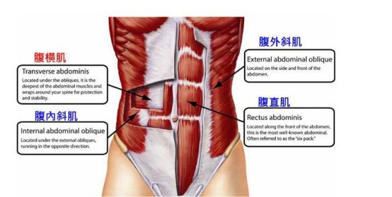 產後肚皮松垮、腰疼？常做這個動作就能恢復！ 親子 第9張