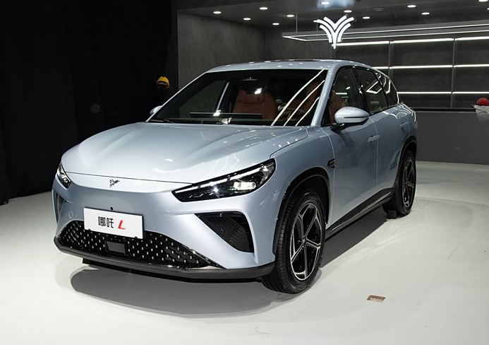 不是理想l6买不起,是这四车更具性价比!冰箱沙发,spa按摩都有