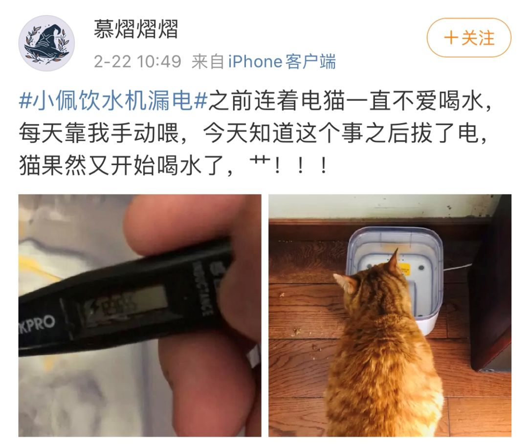 饮水机突然爆炸了，差点害死我家猫u2026u201d_萌宠-训练养宠技巧,宠物用品_微信 