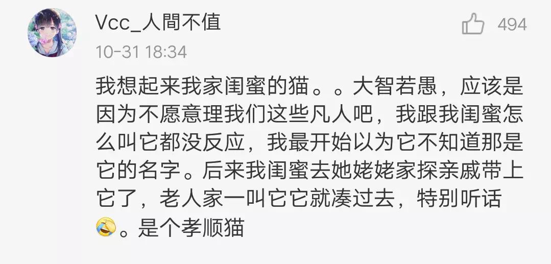 你家的貓為什麼叫不來？有可能是叫的方式不對！ 職場 第12張