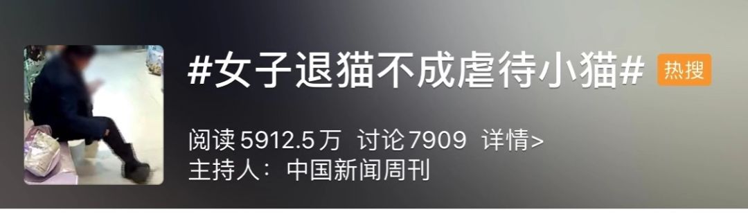 退貓不成當眾虐貓，竟然還口口聲聲說自己愛貓？ 寵物 第2張