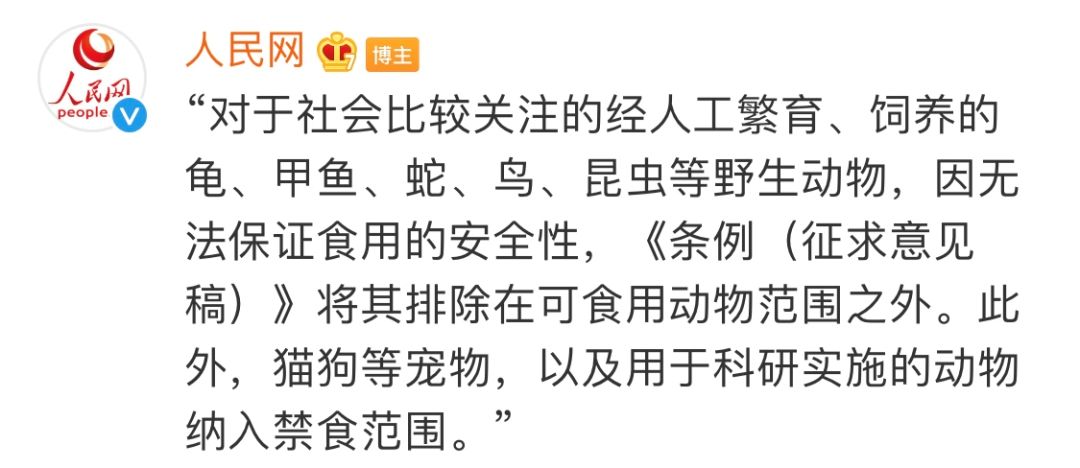 我國首個禁食貓狗的法案通過了！深圳，你真棒！ 寵物 第4張