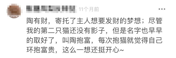 給貓取名字這等大事兒，網友：當然怎麼隨便怎麼來啊！ 寵物 第13張