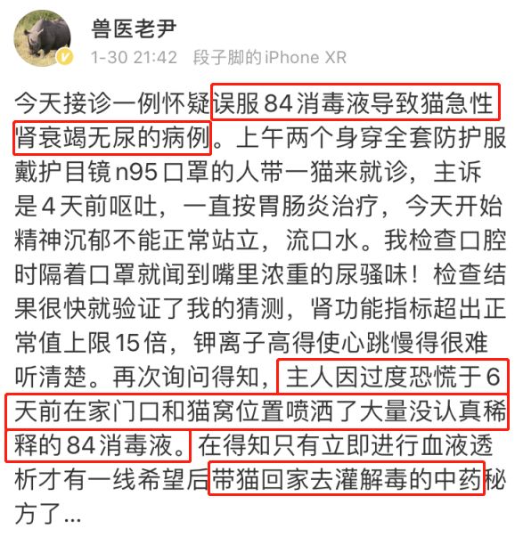 「家裡用了84消毒液，沒想到卻害了我的貓…」 寵物 第3張