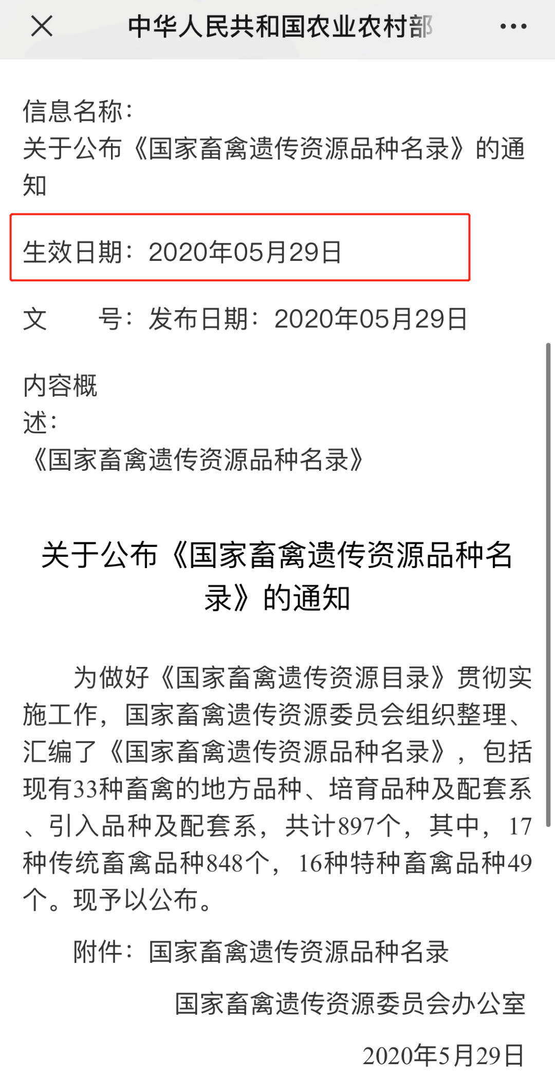 重磅！禁食貓狗的法案通過了！我國已全面禁食貓狗！ 寵物 第5張