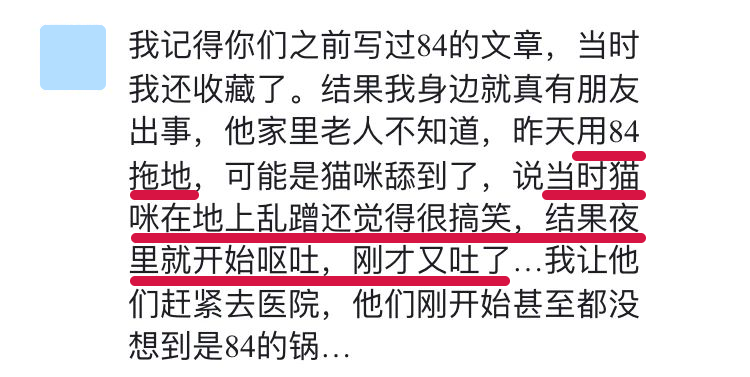 「家裡用了84消毒液，沒想到卻害了我的貓…」 寵物 第2張