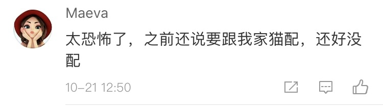 資深救助人被質疑：領養流浪貓狗是為了喂蛇？！ 寵物 第19張