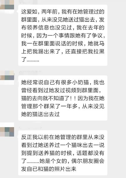 資深救助人被質疑：領養流浪貓狗是為了喂蛇？！ 寵物 第18張