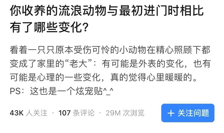 「我被人虐待後從樓上扔下來，在泥裡躺了3天，直到…」 寵物 第2張