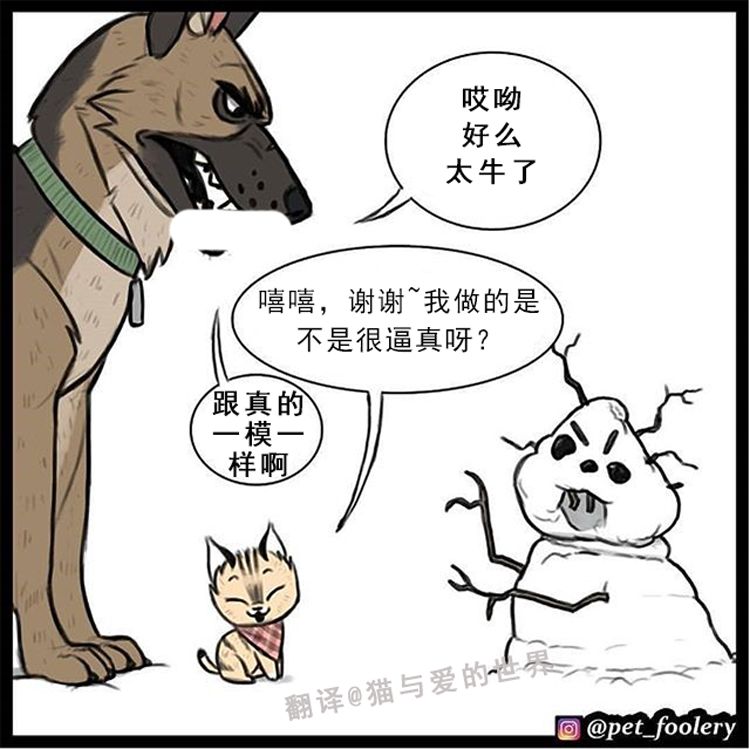 还记得大眼萌猫和退伍军犬的故事吗 霸道总裁的小甜文又来了 萌宠 训练养宠技巧 宠物用品 微信头条新闻公众号文章收集网