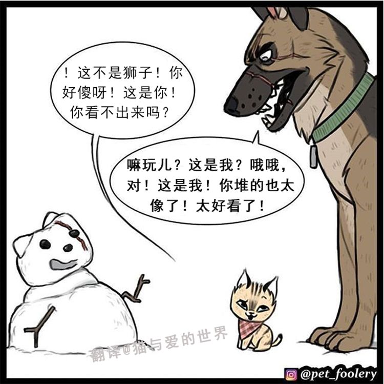 还记得大眼萌猫和退伍军犬的故事吗 霸道总裁的小甜文又来了 萌宠 训练养宠技巧 宠物用品 微信头条新闻公众号文章收集网