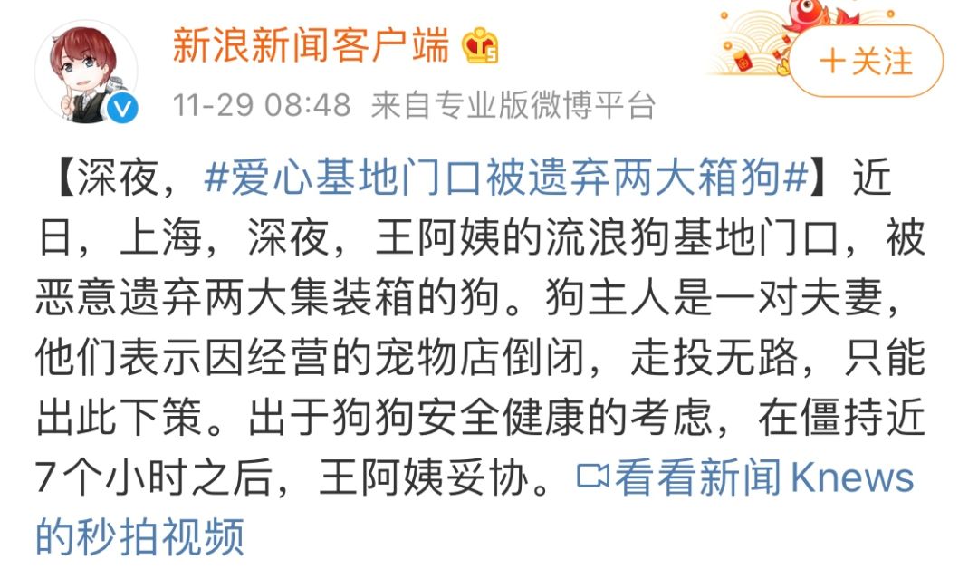 寵物店倒閉，遺棄上百隻貓狗在救助站！貓狗生病甚至倒下 寵物 第4張