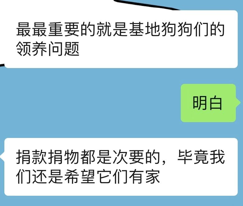 寵物店倒閉，遺棄上百隻貓狗在救助站！貓狗生病甚至倒下 寵物 第15張