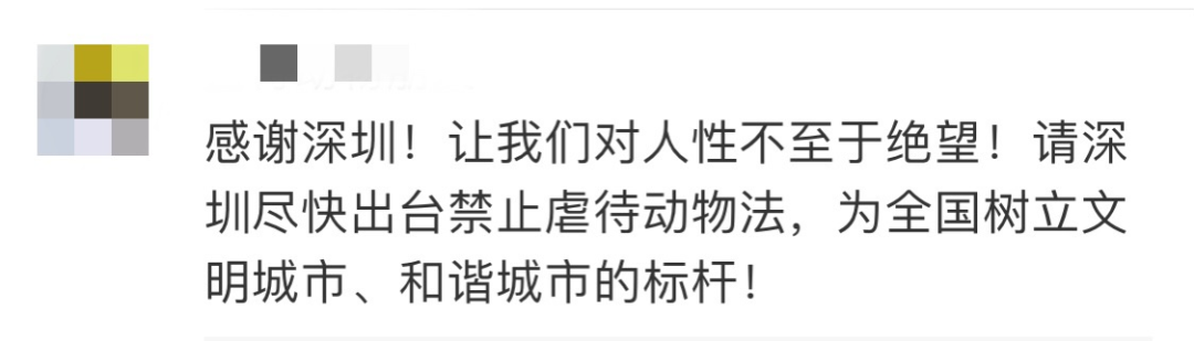 我國首個禁食貓狗的法案通過了！深圳，你真棒！ 寵物 第10張