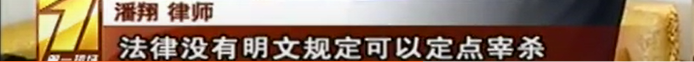 重磅！禁食貓狗的法案通過了！我國已全面禁食貓狗！ 寵物 第13張