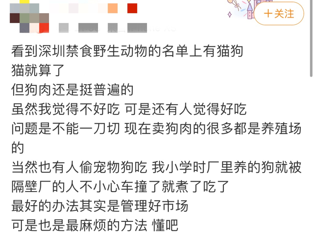 我國首個禁食貓狗的法案通過了！深圳，你真棒！ 寵物 第12張