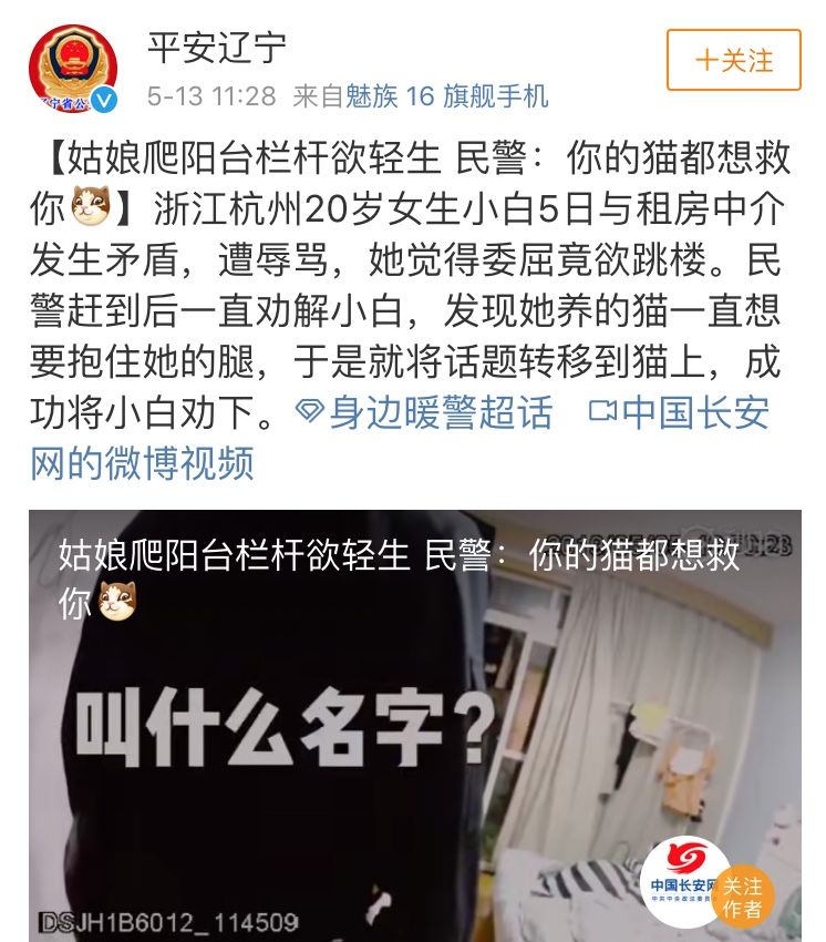 我的貓，救了我的命。 寵物 第4張