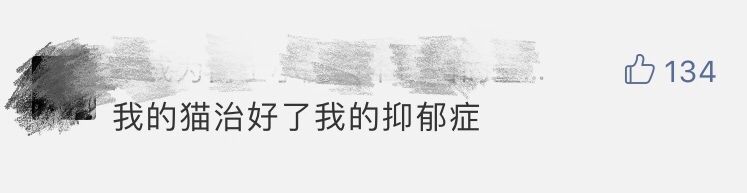 我的貓，救了我的命。 寵物 第5張