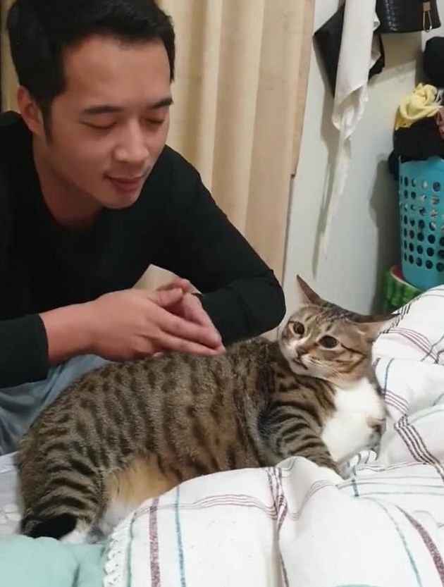 男子曾经不喜欢猫，如今每天定时给猫按摩，猫：铲屎的很上道_萌宠-训练 