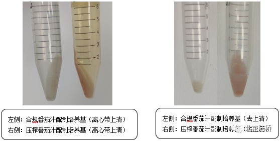 維生素檢測國標(biāo)法本底污染的原因分析