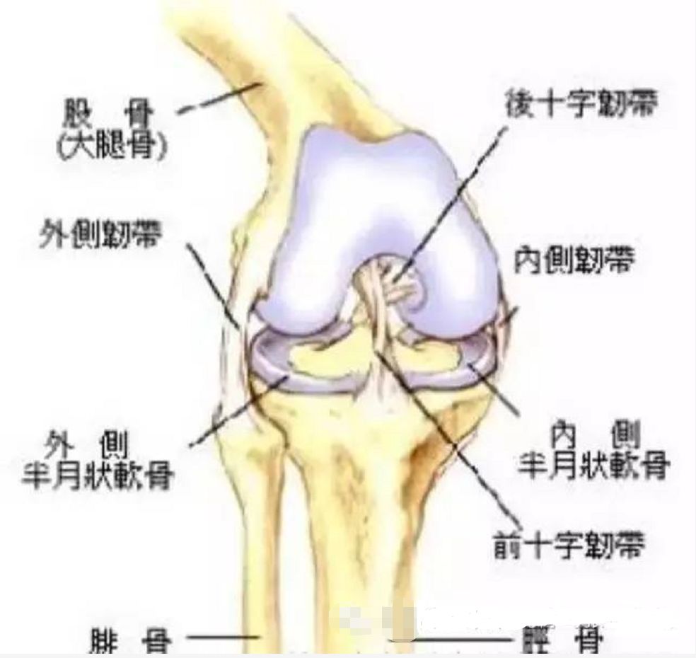 乐利来3r骨健宝是如何调理膝关节半月板损伤的 筋骨养护健康馆 微信公众号文章阅读 Wemp