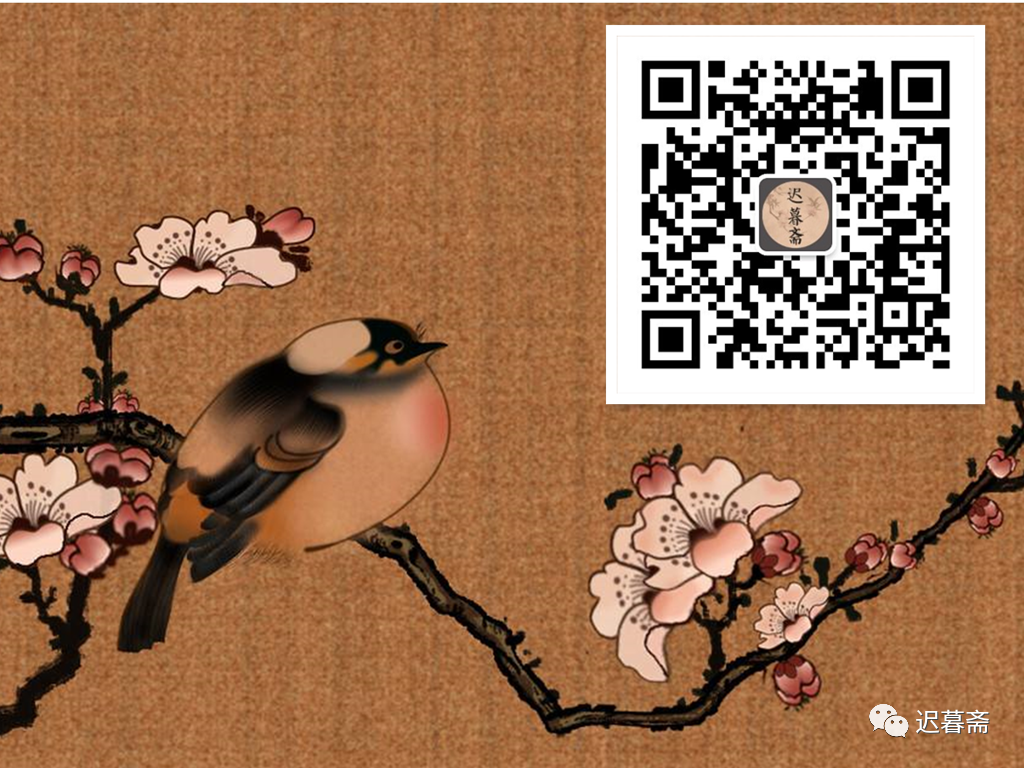 边陲日记---黄鼠狼专咬病鸭子