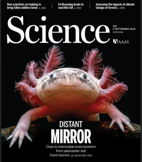 怎么造氧第一次！人类在火星上造出了氧气，人类殖民火星是不是有希望了——NATURE、SCIENCE最新快讯第199期_https://www.jmylbn.com_新闻资讯_第39张