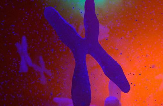 怎么造氧第一次！人类在火星上造出了氧气，人类殖民火星是不是有希望了——NATURE、SCIENCE最新快讯第199期_https://www.jmylbn.com_新闻资讯_第51张