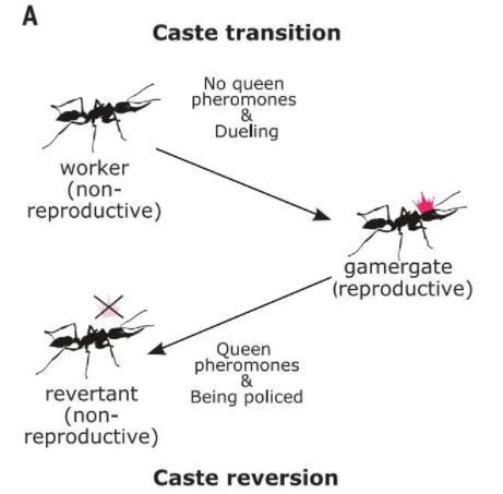 怎么造氧第一次！人类在火星上造出了氧气，人类殖民火星是不是有希望了——NATURE、SCIENCE最新快讯第199期_https://www.jmylbn.com_新闻资讯_第21张