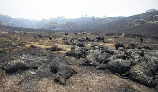 怎么造氧第一次！人类在火星上造出了氧气，人类殖民火星是不是有希望了——NATURE、SCIENCE最新快讯第199期_https://www.jmylbn.com_新闻资讯_第30张