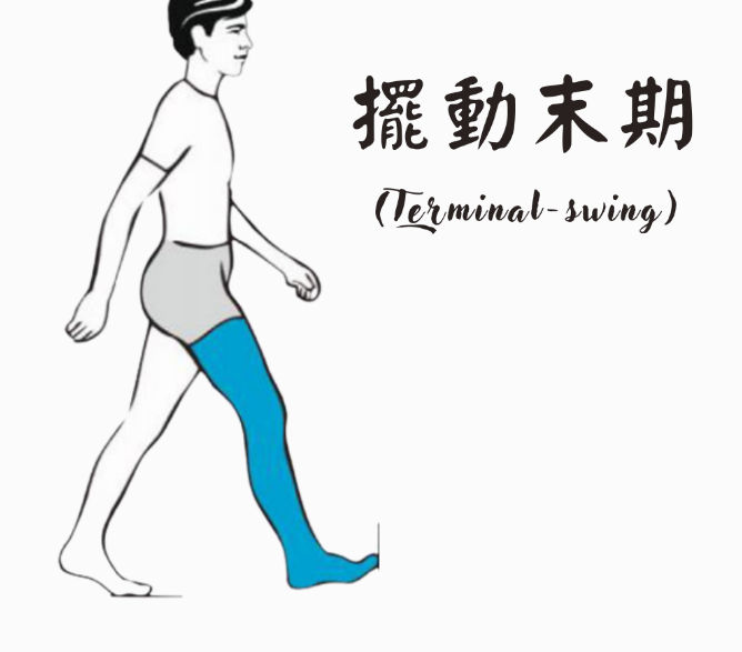 步态分析上曲线怎么解读「走路」是什么？ 物理治疗师教你如何分析人类的步态！_https://www.jmylbn.com_新闻资讯_第14张