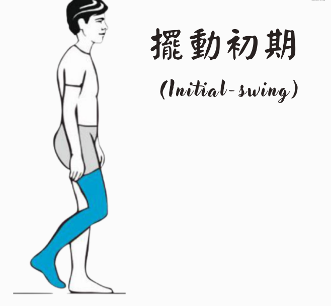 步态分析上曲线怎么解读「走路」是什么？ 物理治疗师教你如何分析人类的步态！_https://www.jmylbn.com_新闻资讯_第12张