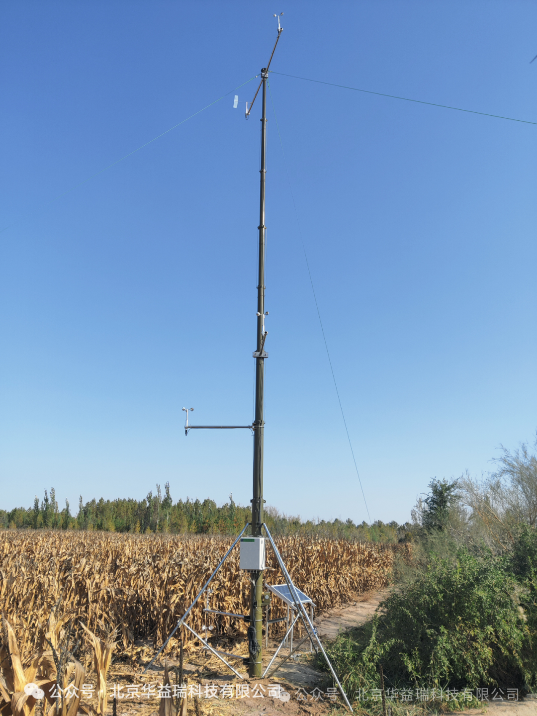 守護(hù)河西走廊生態(tài)屏障：荒漠生態(tài)觀測(cè)系統(tǒng)為防風(fēng)固沙提供科學(xué)標(biāo)尺