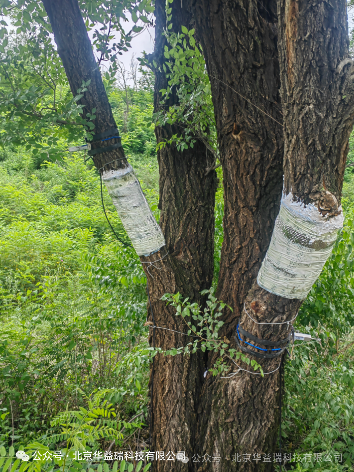 陕西师范大学生态水文综合观测系统顺利建成 助力黄土高原生态屏障建设