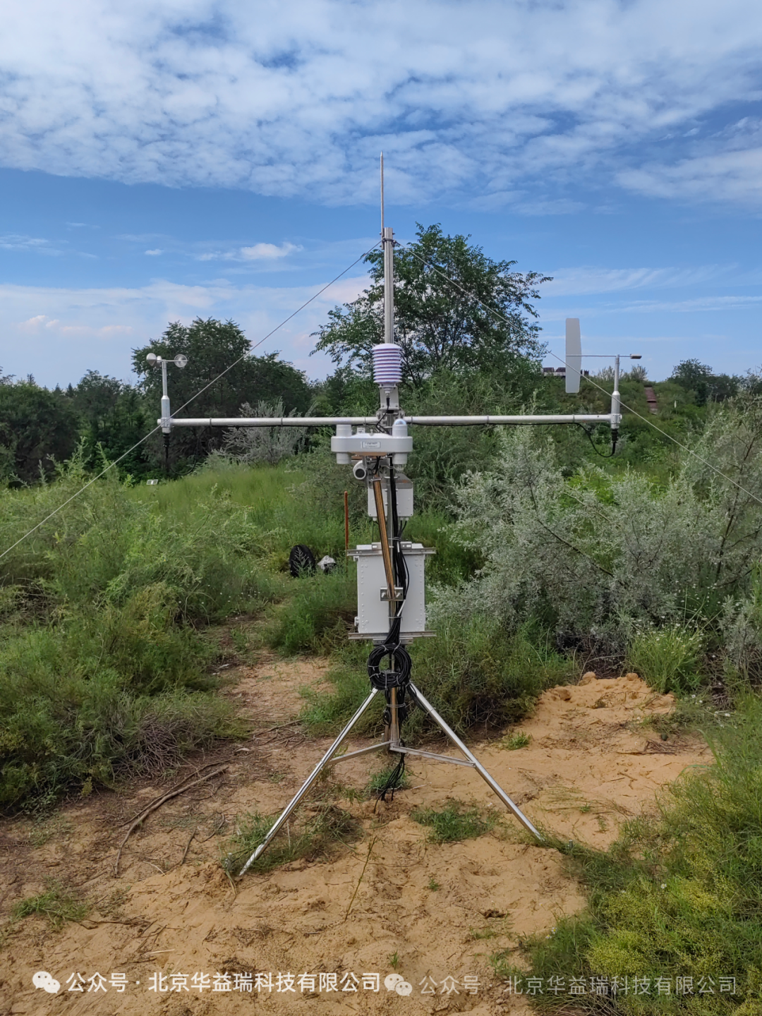 陕西师范大学生态水文综合观测系统顺利建成 助力黄土高原生态屏障建设