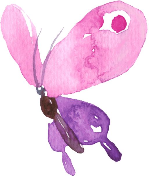 花圣_圣花卫生纸厂家_圣园未花