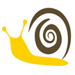 蜗牛网络