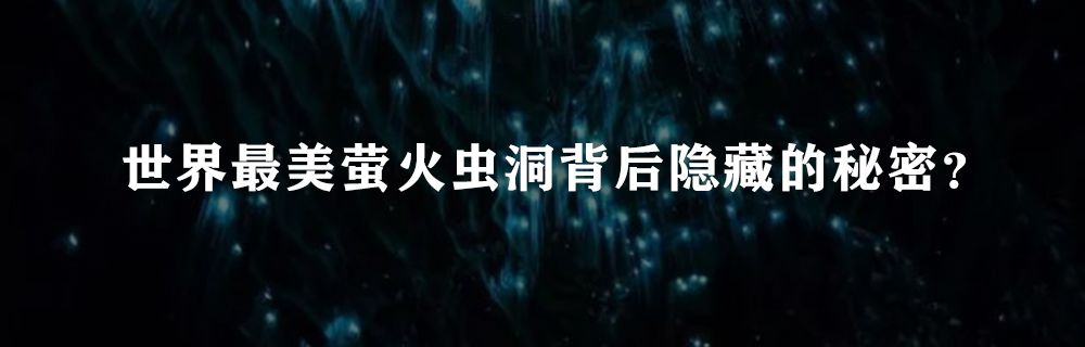 美哭了！噴噴鼻港女星80年代就掀起韓國整容風潮，這是什麼仙人顏值？ 娛樂 第41張