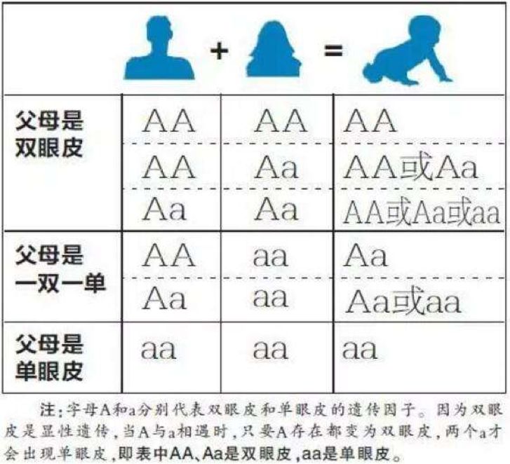 「男孩像媽媽，女孩像爸爸」，是真的嗎？ 親子 第12張